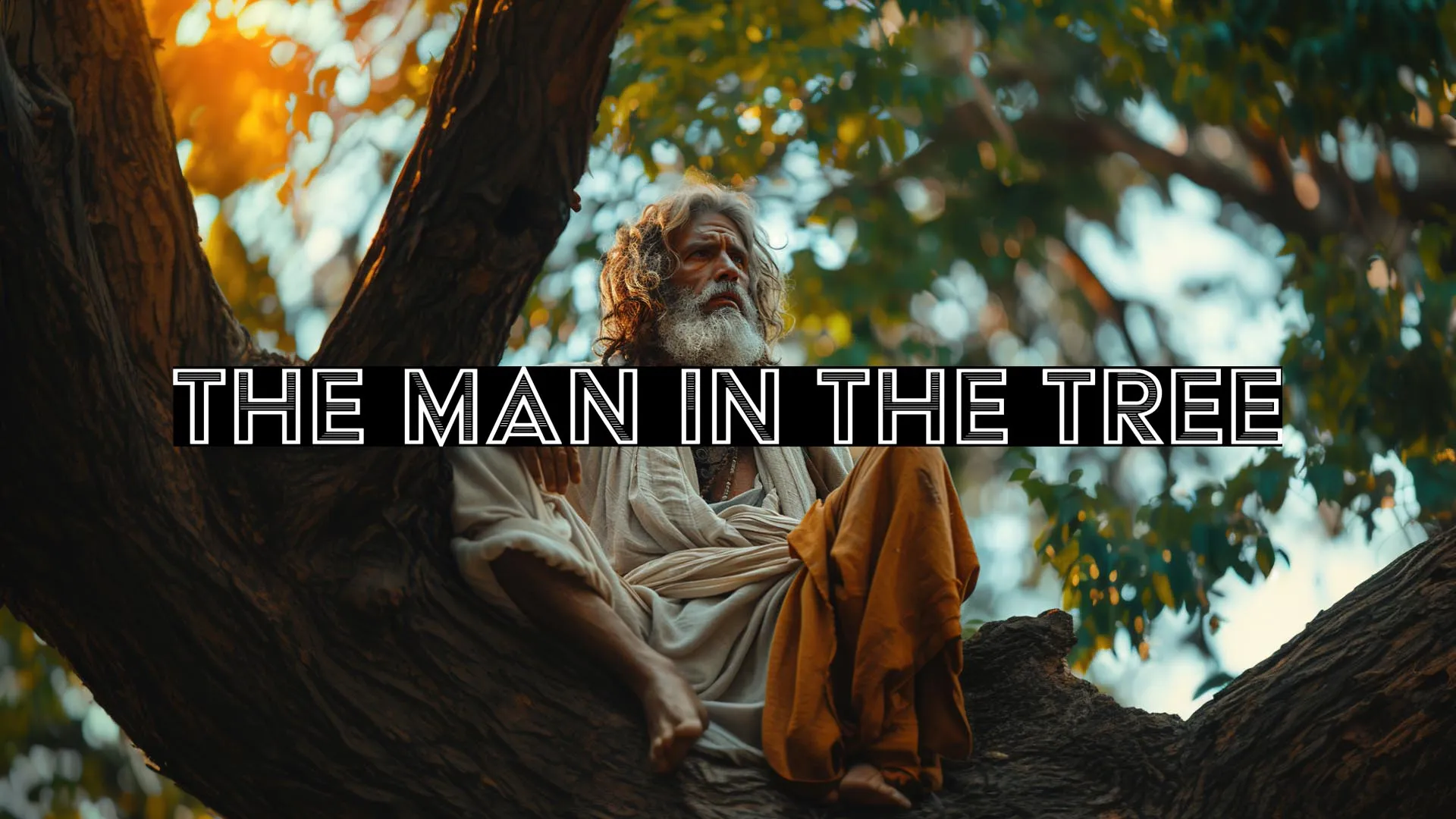 sermon graphic 12-29-2024 the man in the tree